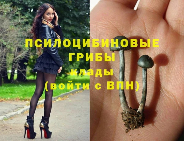 МДМА Алексеевка