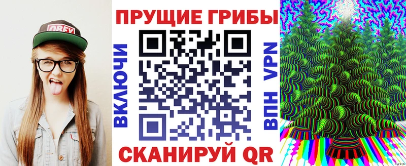 цены наркотик  Алексеевка  Галлюциногенные грибы Psilocybine cubensis 